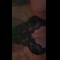 video thumb