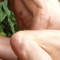 rolo-prive-ontvangst-via-kinky-5cf78fb43081bc68f2816409