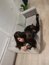 paulina-prive-ontvangst-via-kinky-60f49da0be862b212edef6b4