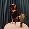 paulina-prive-ontvangst-via-kinky-610a65d4e29eed747de47dea