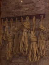 zwols-pleziertje-privehuis-in-zwolle-66ce2ed34d71260012754e48