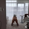 demona-prive-ontvangst-via-kinky-617ad699cce4d105d4757033