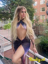 hillary-prive-ontvangst-via-kinky-670947f9397663001375c997