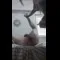 video thumb