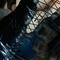 sheila-prive-ontvangst-via-kinky-6726a2d6eb611800132996c3