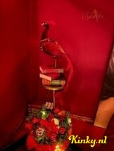 salon261-kamerverhuur-massagesalon-in-alphen-aan-den-rijn-656873674f139f001298f8b6