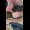 video thumb