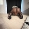 shactea-prive-ontvangst-via-kinky-66461cf1d1f82d001a33905e