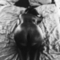 elektra-escort-via-kinky-61fd331a03a59800127b4006