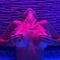 joycie-erotische-massage-via-kinky-68c80f904884f30013e88bb0