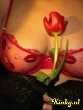 rose-prive-ontvangst-via-kinky-698b6d3db3716e0013fadf39