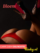 carpe-diem-massage-massagesalon-in-boxtel-6862453a3cd0cf00131cdcb2