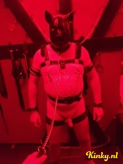 mistress-rebecca-bdsm-via-kinky-641f3c3e255b730012bee989