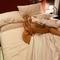 bianca-prive-ontvangst-via-kinky-671e859e0269bc001325b515