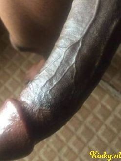 austin-prive-ontvangst-via-kinky-68dce770c6c1e00013daa9ef