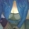 isa-prive-ontvangst-via-kinky-66aa4ed44d7126001275101e