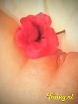 isa-prive-ontvangst-via-kinky-627ad947cf87cc0012d0a7a3