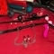 gisela-prive-ontvangst-via-kinky-68246547b04b8d00132da208