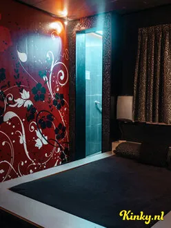 lovehotel-eindhoven-privehuis-in-eindhoven-60cc35880904af665774b004