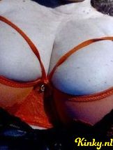 wilma-prive-ontvangst-via-kinky-690a0f795a625a00138ac296