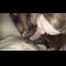 video thumb