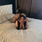 loraine-prive-ontvangst-via-kinky-67ed6f03b650a700133db42e