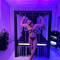 calvin-prive-ontvangst-via-kinky-66e445ea8dd27400130799bb