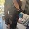 mirthe-&-peter-prive-ontvangst-via-kinky-68cc4b547e9b920013109d0d