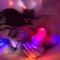 kathalina-prive-ontvangst-via-kinky-61ad20749ff3a8a9837a5610