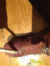 mrs-amber-bdsm-via-kinky-5cf66624402232ee12d7f913