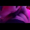 video thumb