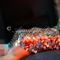 bo-anne-prive-ontvangst-via-kinky-66697fd940e5f2001a97dfeb