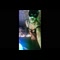 video thumb